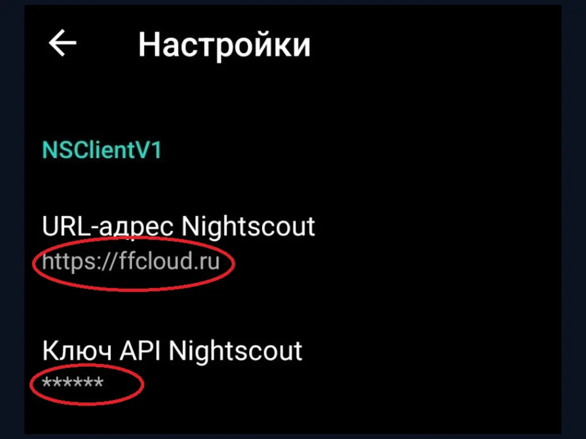 AndroidAPS NSClientV1 URL адрес и Ключ API